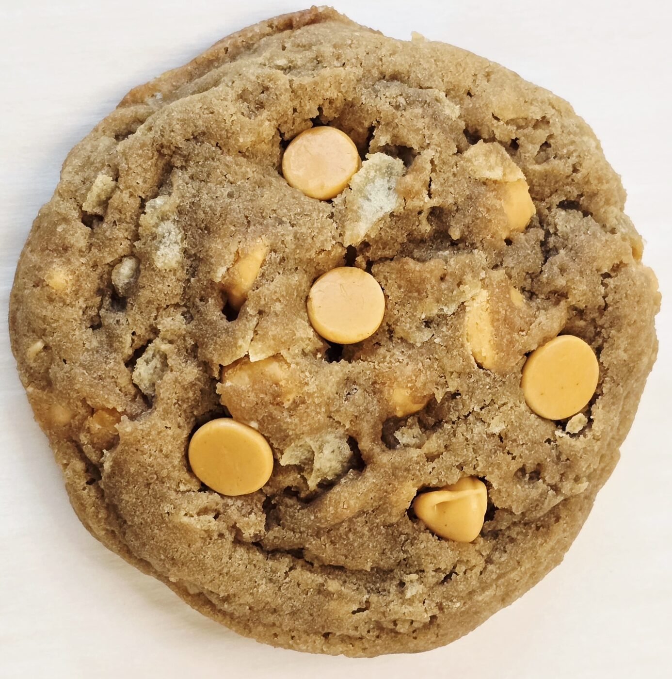 Butterscotch potato chip cookie close-up